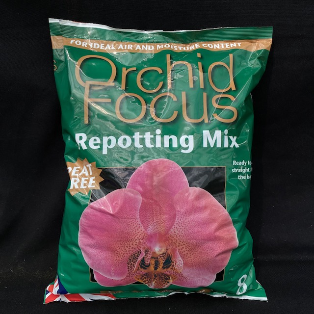 Orchid Focus bark (medium)-